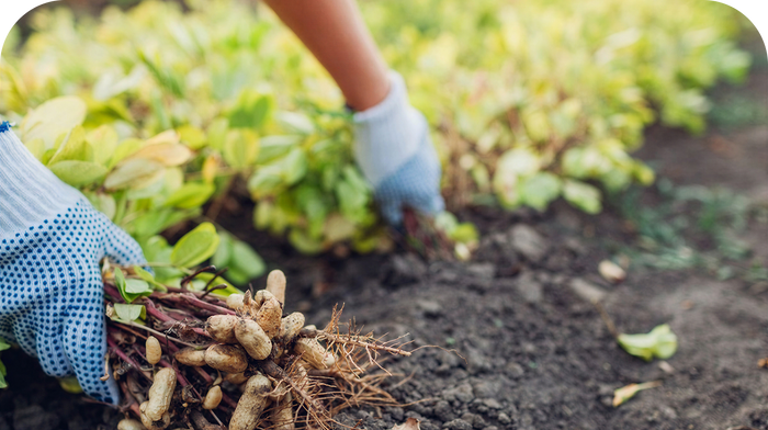 Your purchase does<br>
more than feed you.